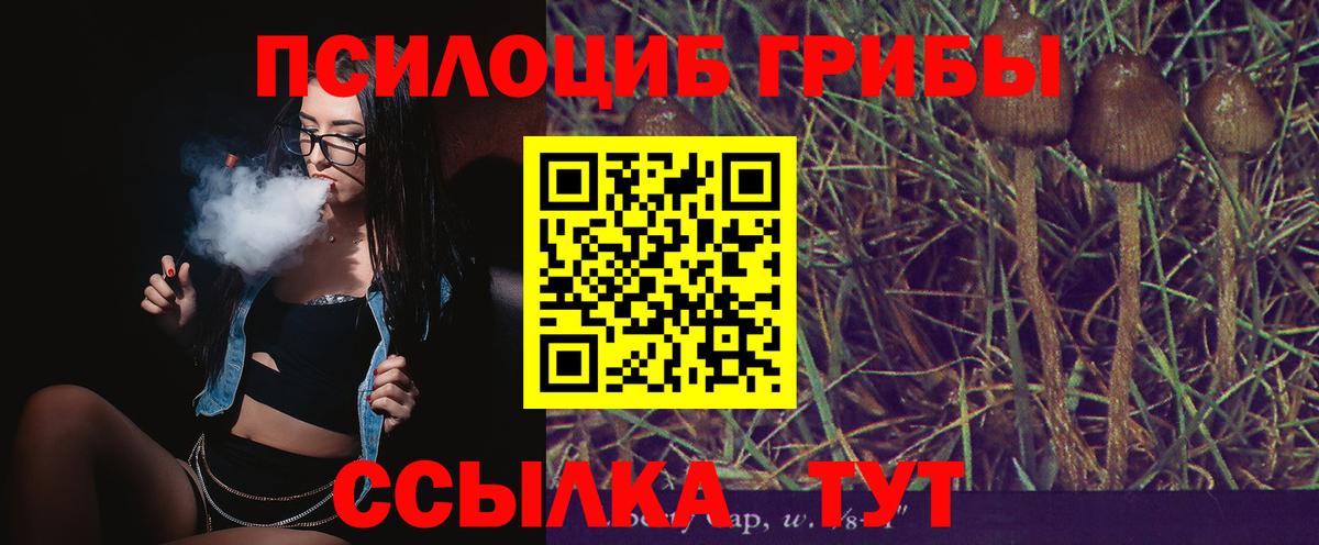 Галлюциногенные грибы Psilocybe  Галлюциногенные грибы Magic Shrooms  Гурьевск  Вход с VPN 