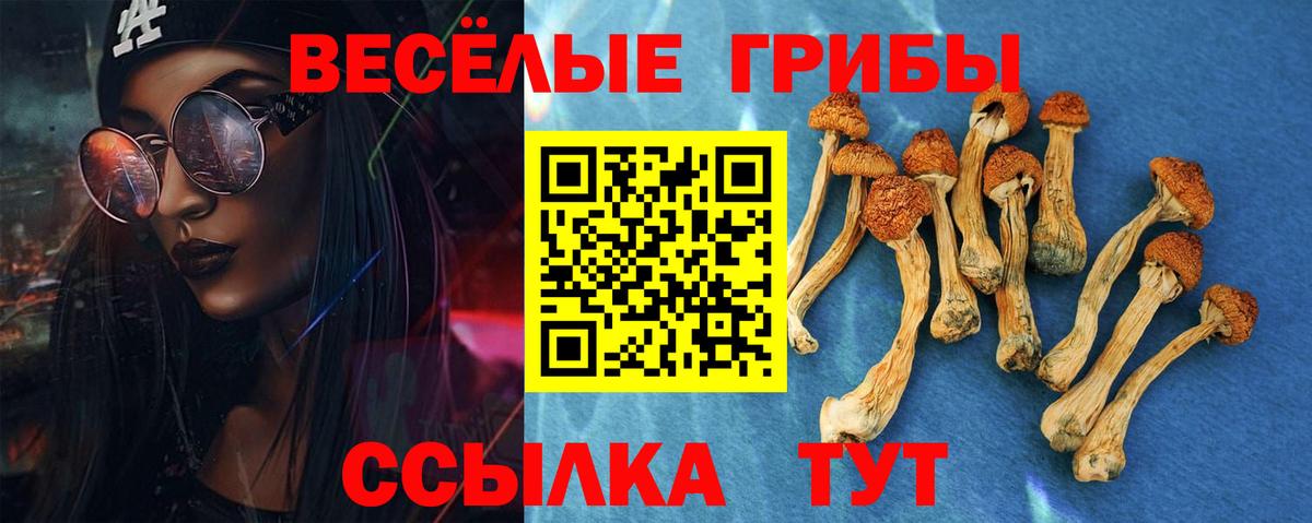 Псилоцибиновые грибы GOLDEN TEACHER Гурьевск